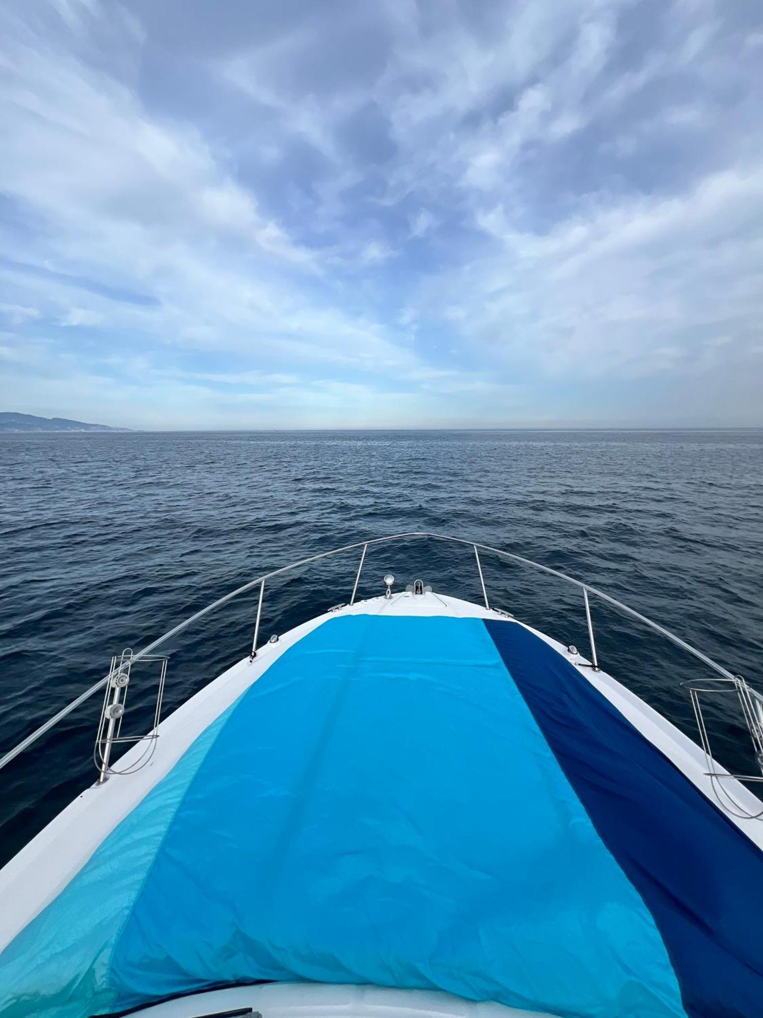 Botel Luxury Boat In Monte Carlo