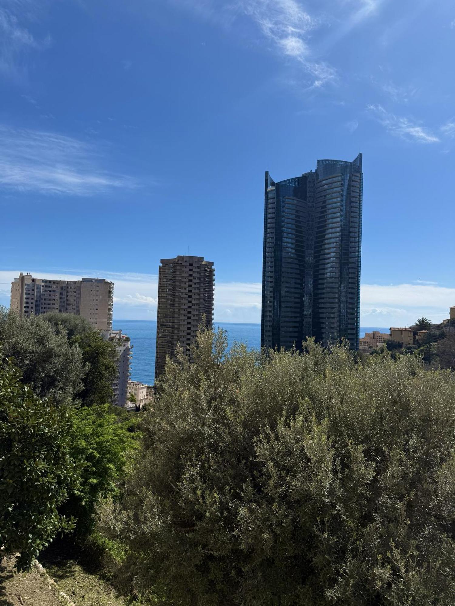 De Luxe Portes De - Vue - Piscine - Wifi Monte-Carlo
