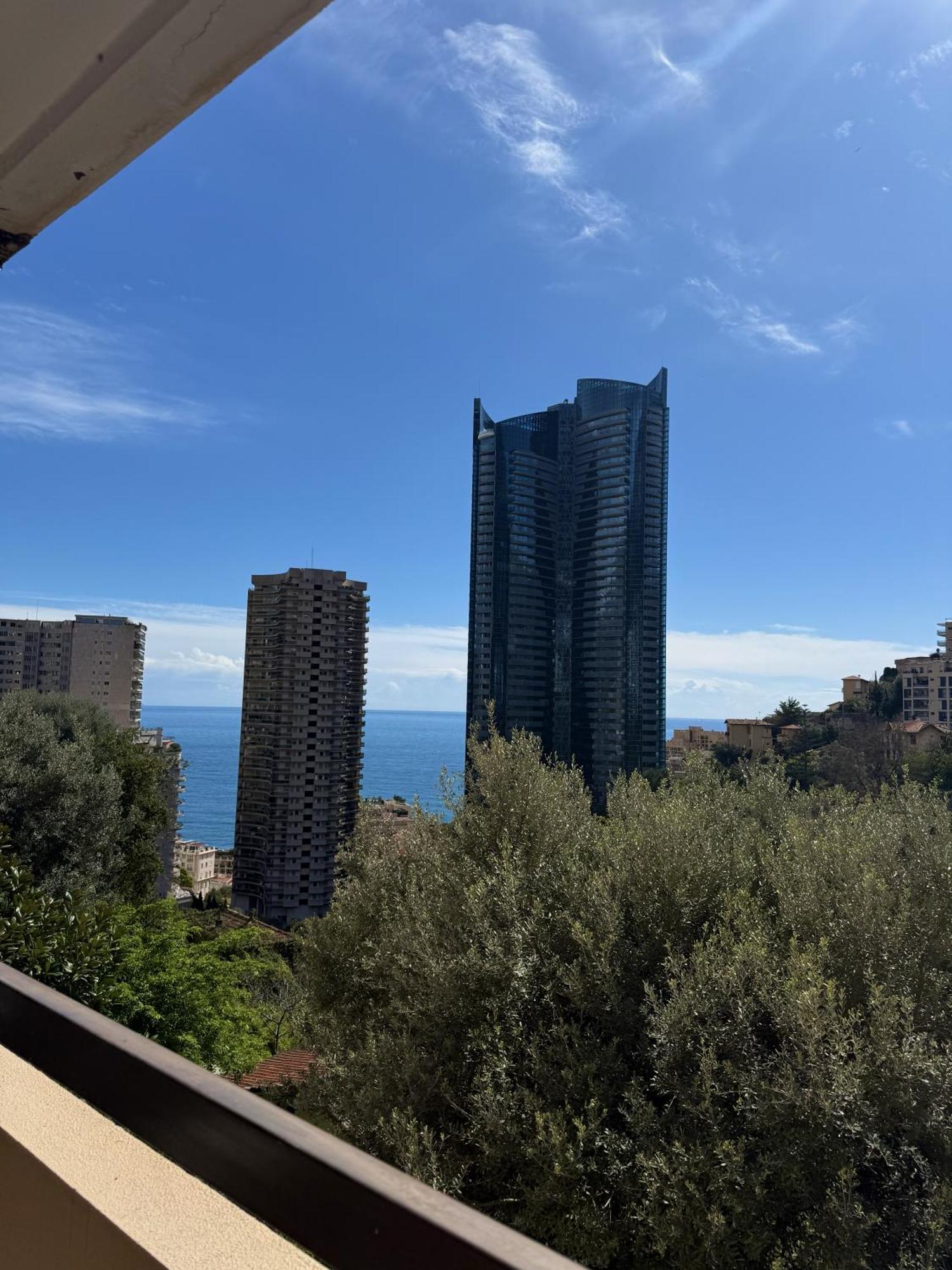 De Luxe Portes De - Vue - Piscine - Wifi * Monte-Carlo